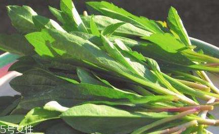 马兰头怎么清洗？怎么洗马兰头？