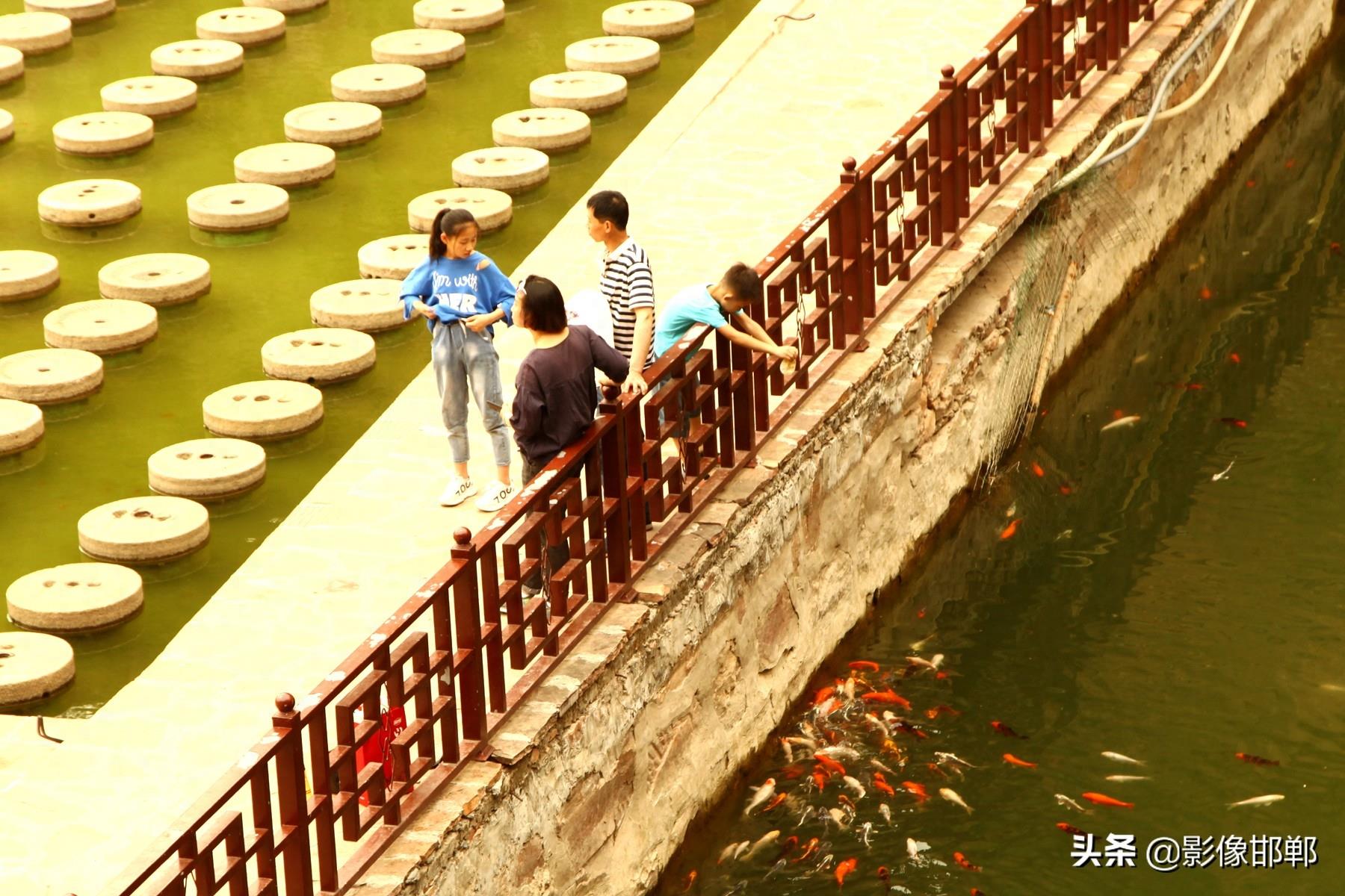 邯郸武安太行花溪谷,山清水秀飞瀑叠翠,良心景区门票只有10元