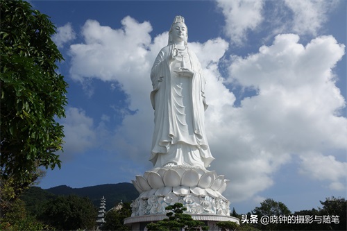 越南山茶半岛距岘港13公里,有山有海有寺庙,还有一尊超大观音像