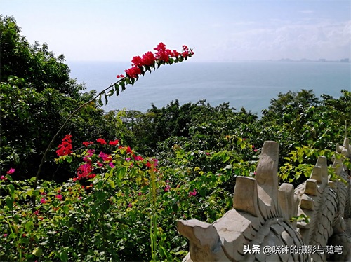 越南山茶半岛距岘港13公里,有山有海有寺庙,还有一尊超大观音像