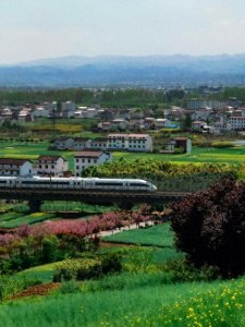 ​汉中洋县为何讲中原官话而非西南官话？