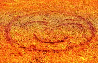 ​这条“黄金大道”迎来“高光时刻”！