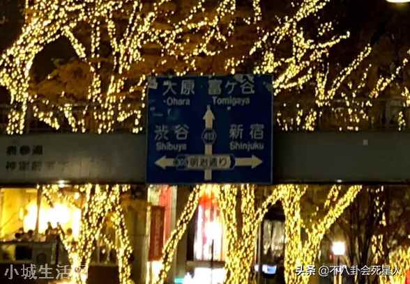 晒日本旅游照给祖国庆生(张哲瀚被扒国庆节在日本发文)-图11 晒日本旅游照给祖国庆生(张哲瀚被扒国庆节在日本发文)-图11