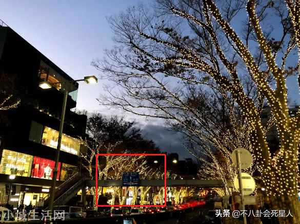 晒日本旅游照给祖国庆生(张哲瀚被扒国庆节在日本发文)-图10 晒日本旅游照给祖国庆生(张哲瀚被扒国庆节在日本发文)-图10