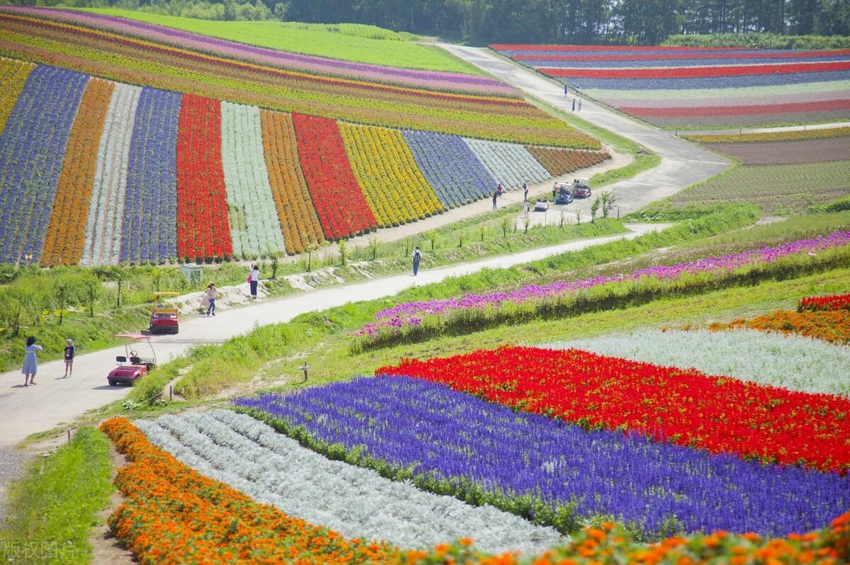 安康市旅游景点有哪些(安康旅游最值得去的5个景点)