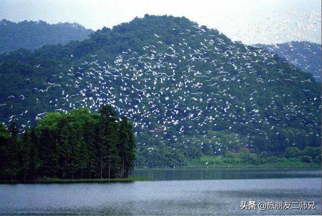 佛山鹭湖森林度假区两天攻略(佛山高明美的鹭湖探索王国)(17)