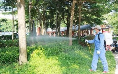 ​院子里蚊子多，就用这三种控蚊方法