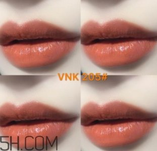 ​vnk口红南瓜色色号试色