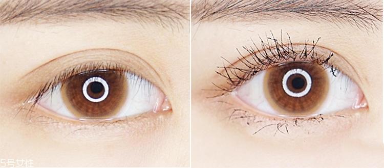 mistine睫毛膏防水吗 mistine睫毛膏防水效果评测 mistine睫毛膏防水吗 mistine睫毛膏防水效果评测