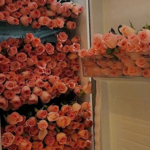 ​【推书】《怪你风情惹火》：怪我听见得太迟，浪费了你许多时间。