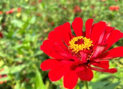 ​情人之间，有真爱吗？过来人的话很现实看到评论我却沉默了